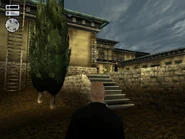 20210201113555 1.jpg (112 KB) The stairs to the roof and to the pool at the back.