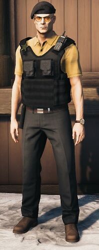 Bodyguard (Haven)