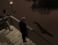 47 witnesses wedding guests hunting Alligators, poorly.