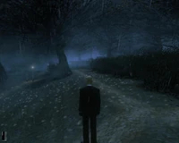 Yard.jpg (112 KB) In yard.