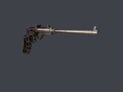 TauntonDartGun2021