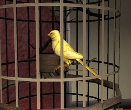 Канарейка 47-го