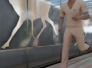 Contractescalation amaranth