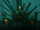 The Envy Contention (challenges)