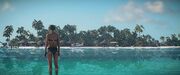 Girl&HavenIsland-Hitman2