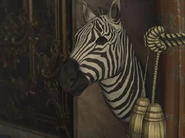 The Adamoli Fascination