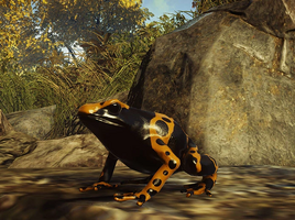 Battle Frogs