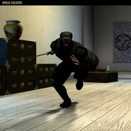 Ninja (outfit), Hitman Wiki