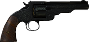 In-game model.