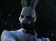 White Rabbit