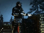 As it appears in the tile for Heavy Duty.