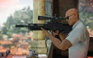 The rifle in Sapienza.