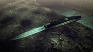 A folding knife found in the Death Factory.