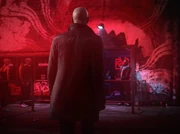 Herr Ziegler Plus One