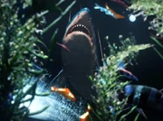 Shark From Above Challenge