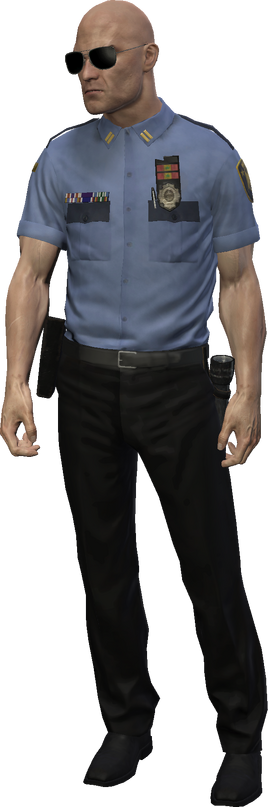 Court Security Guard