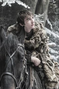 6Bran.png