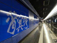 月台2（2009年6月）