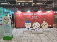 2025年8月，港鐵設置了Chiikawa Days站站遊蹤於A出口附近，供乘客與Chiikawa及其好朋友打卡
