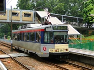 0364 1109 615p tsingwun