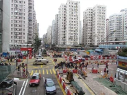 紅磡道路面開挖工程（2012年1月）