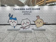 2025年8月，港鐵在B1層設立Chiikawa Days站站遊蹤佈景板，供乘客打卡留念