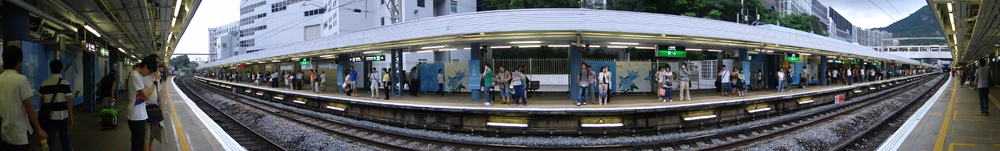 東鐵綫月台全景圖