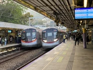兩列東鐵綫現代列車駛入本站月台