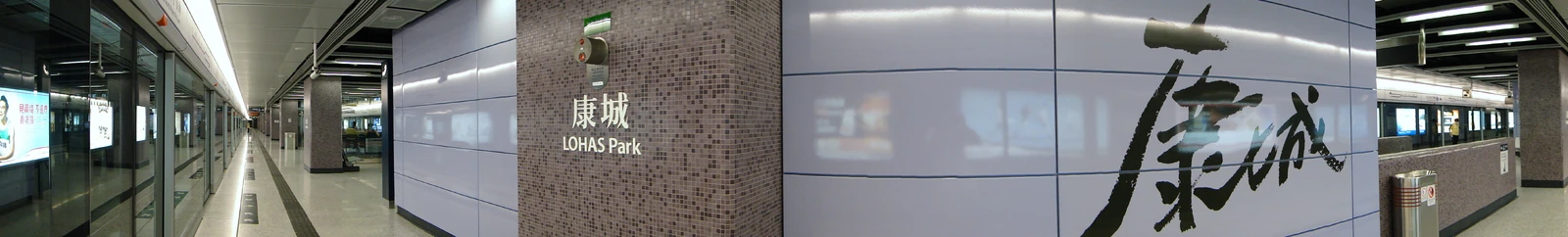 Panorama of Platform 1 (July 2009)