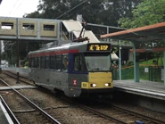 0139 1011 615p tsingwun