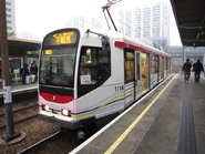 IMG 0536.jpg (167 KB) 1114 Siu Lun