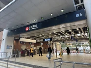 D出口（2024年12月）