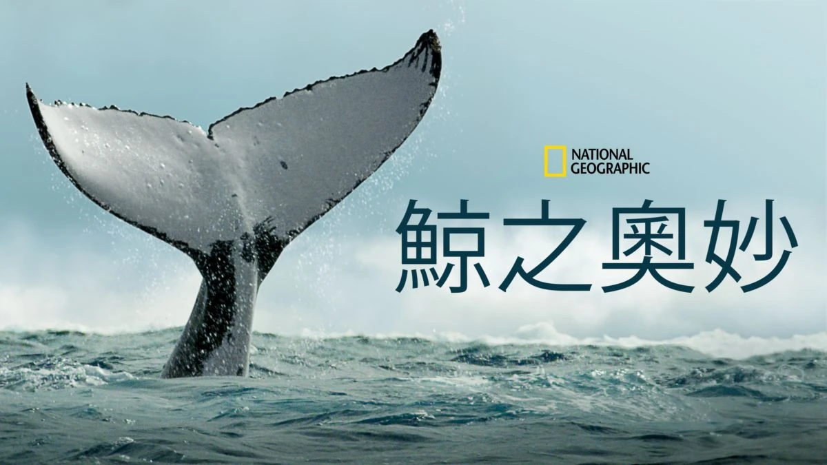 鯨之奧秘（美國紀錄片） | 香港配音Wiki | Fandom