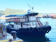 Blue Sea 2 Blue Sea Ferry Sai Wan Ho to Tung Lung Chau 08-08-2020(2)