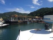 Wong Shek Public Pier 19-06-2016