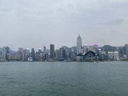 Victoria Harbour 08-04-2023(1)