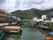 Tai Chung Pedestrian Bridge 06-07-2018