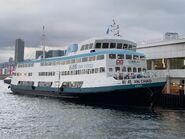 Xin Chao Sun Ferry Central to Cheung Chau 31-01-2023(1)