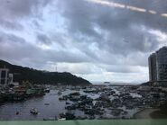 Aberdeen Typhoon Shelter 24-06-2017