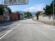 與金巴倫道並排一段（2022年4月）