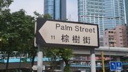 棕樹街路牌