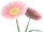 PinkDaisy (TWoA).png