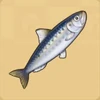 Sardine