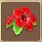 Hibiscus (TWoA)