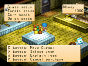 Supermarket | The Harvest Moon Wiki | Fandom