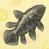 43 Coelacanth
