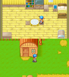 harvest moon tale of two towns expansions