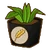 PoOTWheatSeedling