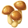 Nameko (FotGK)