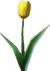 YellowTulip (TWoA)